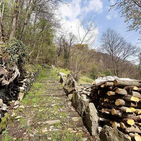 La Torretta Di Mozzola Оджеббио